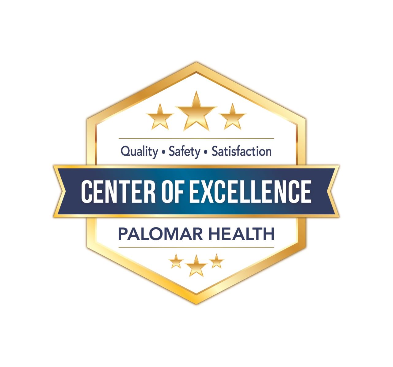 PH-Center of Excellence Seal_FINAL(15)(1) (1) Center of Excellence Seal